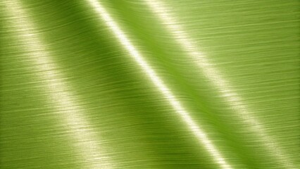 Green metallic texture with light reflections and a smooth brushed surface