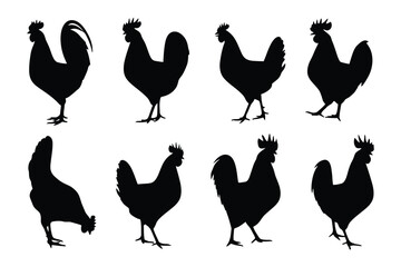 Rooster and Chicken Silhouettes Vector Pack