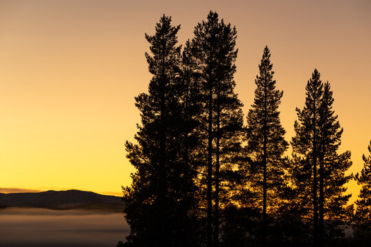 A serene mountain landscape at sunrise, with golden skies illuminating the horizon. A soft blanket of fog drifts over the dark forest below, while the snow-dusted peaks rise in the distance. 