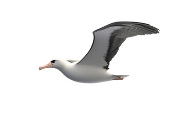 Fototapeta premium Albatross soaring above ocean 3d render cartoon character on white background