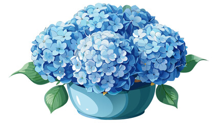 Fototapeta premium Close-up of pale blue hydrangea blossoms in a round pot, clusters of small flowers form a soft sphere, each petal catching light subtly, elegant freshness on a clean white backdrop.