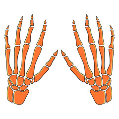 orange human hand skeleton