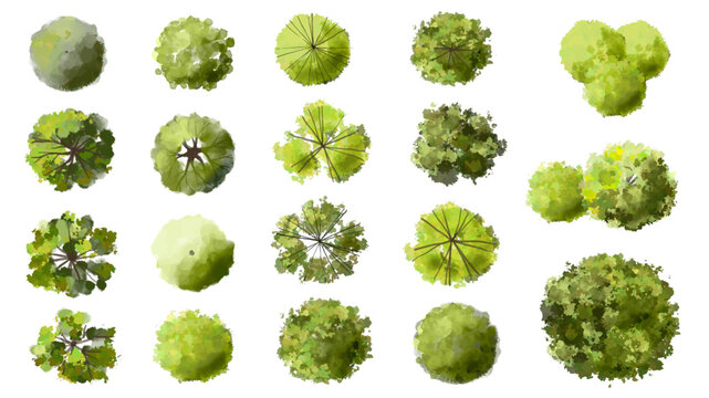 Vector set of Top view green tree for outdoor plan or map and architecture drawing, elements for environment and garden ,botanical elements ,Blooming flowers in spring,tropical plants element