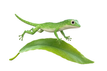 Obraz premium Anole jumping leaf to leaf 3d cartoon character on white background