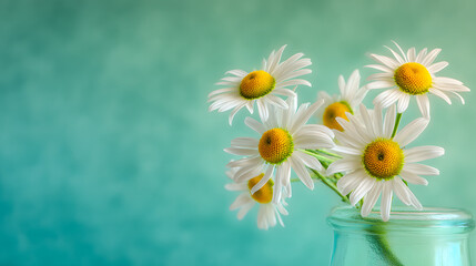 Fototapeta premium Daisies in a vase, a moment of simple beauty and quiet serenity.