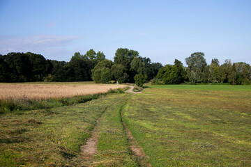 Views of the green fields of Lübars in the Brandenburg region near Berlin in summer.