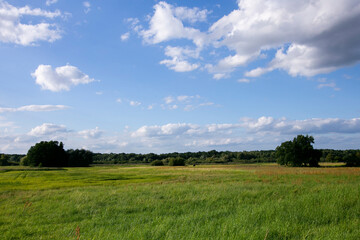 Views of the green fields of L&uuml;bars in the Brandenburg region near Berlin in summer.