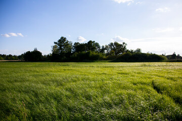Views of the green fields of Lübars in the Brandenburg region near Berlin in summer.