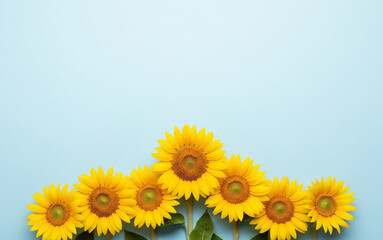 Fototapeta premium Sunflowers on Light Blue Background