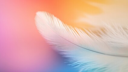 Naklejka premium Soft white feather against a vibrant, pastel background