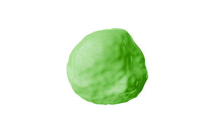 3D Render a green fruit is shown on a white background