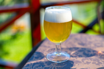 Refreshing Pale Beer in a Glass on a Cozy Outdoor Patio Table