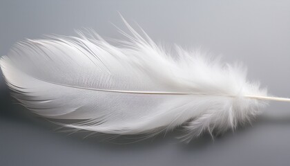 Obraz premium a white feather suspended mid air against a pale gray background caught in an unseen breeze