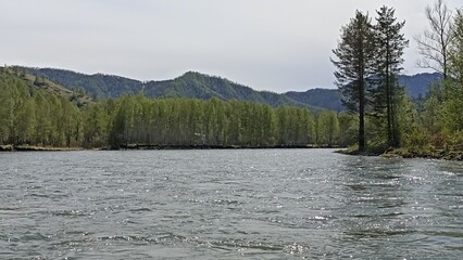 A serene river flows through a vibrant forest, with majestic mountains in the distance under a gentle sky. Ideal for themes of nature, travel, and outdoor adventure.