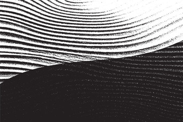 Minimalist Wavy Lines in Black and White Contrast