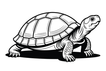 Fototapeta premium Black and white illustration of a tortoise with detailed shell and claws