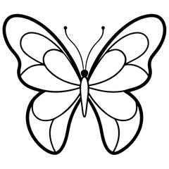 Butterfly on white background