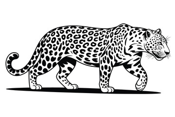 Black and White Jaguar Illustration Walking with Spots and Tail