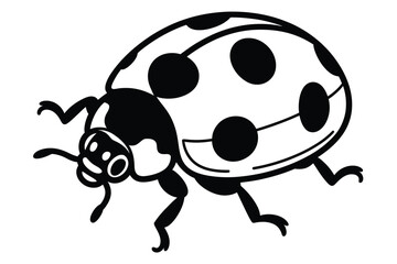 Fototapeta premium Black and white ladybug illustration with spots and legs on white background
