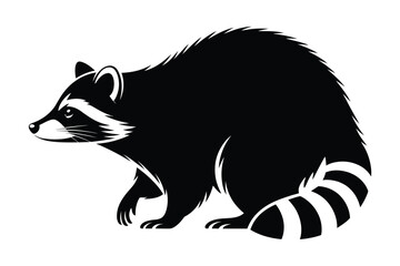 Obraz premium Black and white raccoon illustration profile view on white background