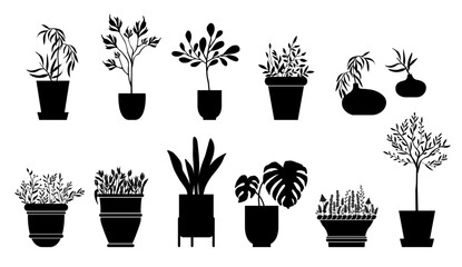 Modern pottery design, houseplants, ceramics illustration. Isolated vector graphic. Botanical silhouette in decorative vessels.