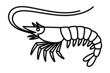 Obraz premium Black and white shrimp illustration with curved antennae on white background