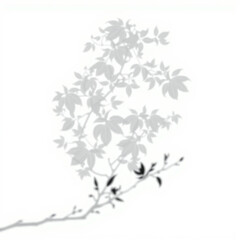 Fototapeta premium shadow overlay effect. Gray shadow of leaves isolated on white background. Plant foliage leaf shadow light effect. Mockup Blurred tree branch shadow. Ideal for summer spring design elements PNG