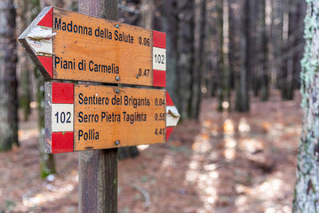 Primo piano di cartelli di indicazione del sentiero in Calabria