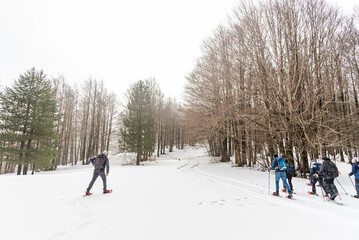 Gruppo di escursionisti con le ciaspole su un sentiero di montanga innevato tra gli alberi