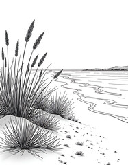 sand dunes and grass