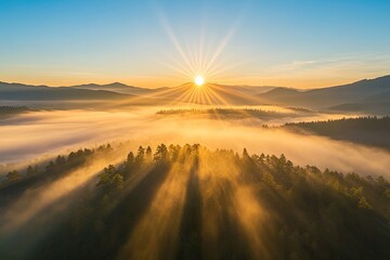Sunrise over misty mountain forest