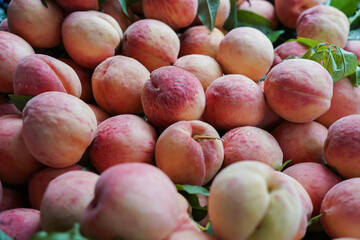 Fresh peaches. Summer harvest of fruits. A group of ripe peaches in market