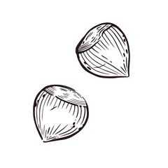 A set of illustrations, hazelnuts, hazelnuts hand-drawn in vector ink. The illustration is suitable for printing on food packaging, store decor, printing on fabric and paper.