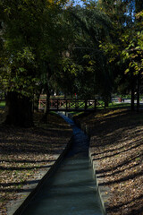Water channel in the city park