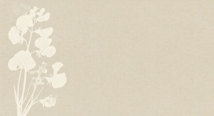 Light beige textured background with delicate, white silhouette of pea flowers.