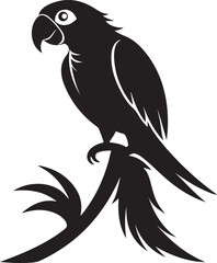 Parrot on Perch or tree branch Silhouette – exotic touch