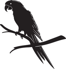 Parrot on Perch or tree branch Silhouette – exotic touch
