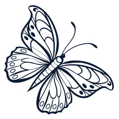 Butterfly  line art vector icon on white background.