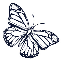 Butterfly  line art vector icon on white background.