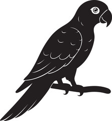 Parrot on Perch or tree branch Silhouette – exotic touch