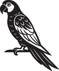 Parrot on Perch or tree branch Silhouette – exotic touch