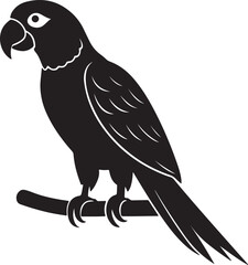 Parrot on Perch or tree branch Silhouette – exotic touch