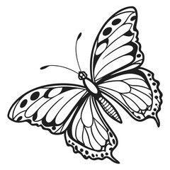 Butterfly  line art vector icon on white background.
