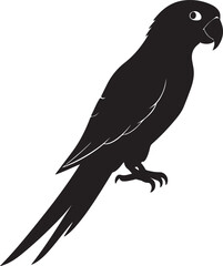 Parrot on Perch or tree branch Silhouette – exotic touch
