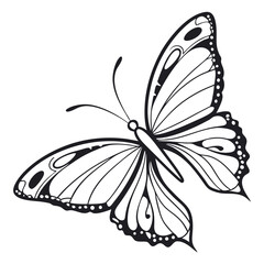 Butterfly  line art vector icon on white background.