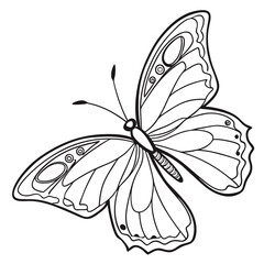 Butterfly  line art vector icon on white background.