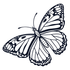 Butterfly  line art vector icon on white background.