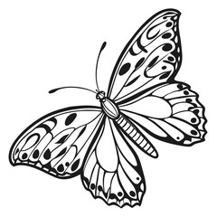 Butterfly  line art vector icon on white background.