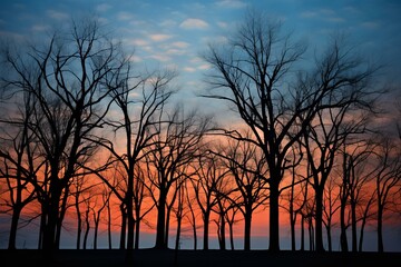 Obraz premium Stunning silhouette of bare trees against a beautiful orange and blue sunset sky