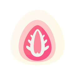 Strawberry Daifuku mochi on a white background.